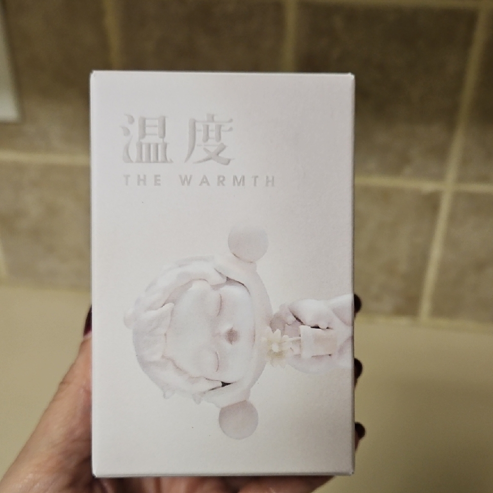 Skull Panda The Warmth Figurine Blind Box